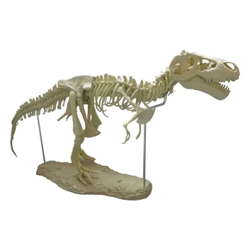 4D Gyvūnų Modelio, Imitavimo Žaislai Didelių Dinozaurų Iškastinio Tyrannosaurus Surinkti Skeletas Siūti Žaislai